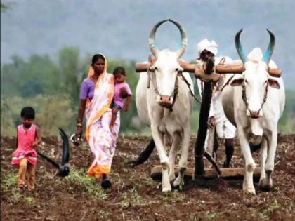 17,000 farmers to benefit from micro-irrigation; Planning of the Department of Agriculture | १७ हजार शेतकऱ्यांना मिळणार सूक्ष्म सिंचनाचा लाभ; कृषी विभागाचे नियोजन