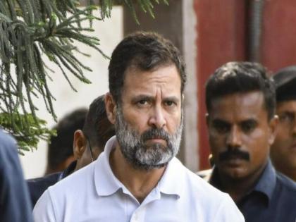 Disqualify me for life, I will continue to fight for democracy; said by Congress Leader Rahul Gandhi | मला जन्मभरासाठी अपात्र करा, लोकशाहीसाठी लढतच राहीन; राहुल गांधी यांचा हल्ला