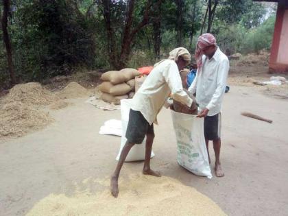 4500 quintals of paddy arrives at Hamibhav Kendra in Murud | मुरुडमध्ये हमीभाव केंद्रात ४५०० क्विंटल भाताची आवक