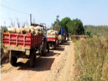 Farmers became distraught as they were not getting money for paddy purchase from Tribal Development Corporation | आदिवासी विकास महामंडळाकडून भातखरेदीची रक्कम मिळत नसल्याने शेतकरी झाले हवालदिल 