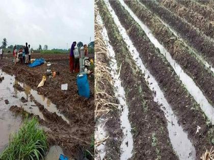 Due to unseasonal rain in Satara, loss of farmers, 51 villages affected | शेतकऱ्यांचे मोडले कंबरडे, ६ तालुक्यांत गारपीट; ५१ गावांना फटका