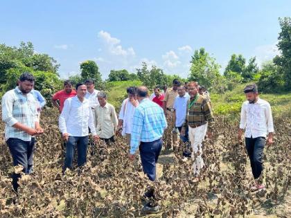 Kanhan river floods damage cotton, soybean crops; The land of many villages in Kuhi taluka was eroded | कन्हान नदीच्या पुरामुळे कापूस, सोयाबीन पिकांचे नुकसान; अनेक गावातील जमीन खरडून गेली