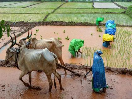 Editorial on Monsoon climate change affected to farmers | अधिक अभ्यास करून मान्सूनची लय आणि चाल ओळखायला हवी