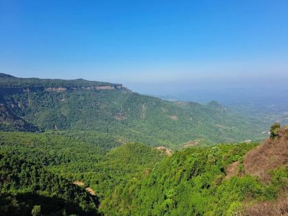 Forest Advisory Committee rejects Hindalco's bauxite mine in Kolhapur | कोल्हापुरातील हिंडाल्कोच्या बॉक्साइट खाणीला नकार; वन सल्लागार समितीचा निर्णय Forest Advisory Committee rejects Hindalco's bauxite mine in Kolhapur | कोल्हापुरातील हिंडाल्कोच्या बॉक्साइट खाणीला नकार; वन सल्लागार समितीचा निर्णय