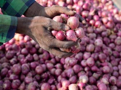 Traders were paying 2 rupees for onion; However, people paid Rs.4... | मस्तच! कांद्याला व्यापारी देत होते २ रुपये; मात्र, लोकांनी दिले ४ रुपये...