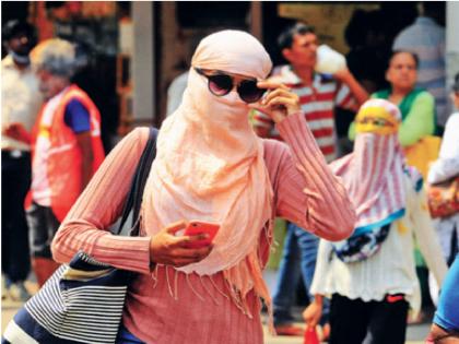 Heat wave for the next five days; 8 states including Maharashtra hit | झळा या लागल्या जिवा! पुढचे पाच दिवस उष्णतेची लाट; महाराष्ट्रासह ८ राज्यांना फटका