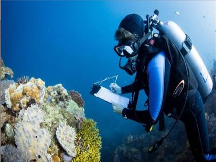 Forest guards will now patrol underwater, a welcome development in terms of marine habitat protection | वनरक्षक आता समुद्राच्या पाण्याखाली घालणार गस्त!, सागरी अधिवासाच्या संरक्षणाच्या दृष्टीने सुखद बाब 