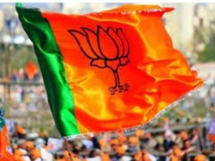 Selapur BJP runs Vijaypur and Belgaum; Will participate in the campaign | साेलापूर भाजपचे चलाे विजयपूर अन् बेळगाव; प्रचारात सहभागी हाेणार