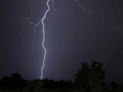 Five goats, four chickens died due to lightning; Midnight incident in Chudane Shivara | वीज पडल्याने पाच बकऱ्या, चार कोंबड्या मृत्यूमुखी; चुडाणे शिवारातील मध्यरात्रीची घटना