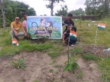 Every house Tiranga, every tree tricolor; A unique wildlife conservation campaign | हर घर तिरंगा, हर पेड तिरंगा; वन्यजीव सोयरे बुलढाण्याचे अनोखे अभियान