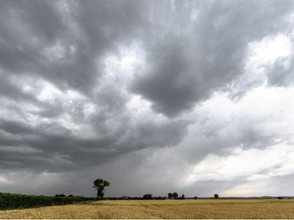 Cloudy weather adds to farmers' worries; Rabi crops are getting hit | ढगाळ हवामानामुळे शेतकऱ्यांच्या चिंतेत भर; रब्बीच्या पिकांना बसतोय फटका