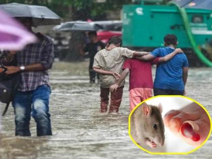 in mumbai medical expert have appealed that one should not go into stagnant water may develop leptospirosis medicine were given to 14 thousand suspected citizens | साचलेल्या पाण्यातून चालाल तर लेप्टोशी गाठ; १४ हजार संशयित नागरिकांना दिल्या गोळ्या