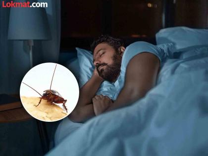 Cockroaches entered the nose while sleeping, it took three days to get out | अरे देवा! झोपेत असतानाच नाकात घुसले झुरळे, बाहेर काढण्यासाठी लागले तीन दिवस