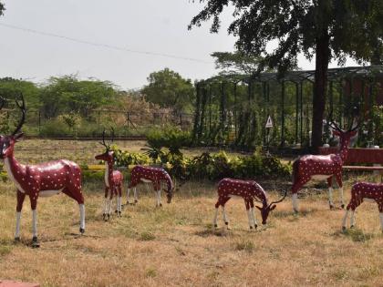 Solapur district got a new tourist spot Animal Statues, Amphitheater in one place | सोलापूर जिल्ह्याला मिळाले नवे पर्यटनस्थळ; प्राण्यांचे पुतळे, अँफी थिएटर एकाच ठिकाणी