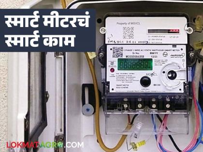 The hassle of having to call when the power goes out will now be over; Mahavitaran is launching 'this' new smart option | लाईट गेल्यास फोन करायची कटकट आता मिटणार; महावितरण सुरु करतंय 'हा' नवीन स्मार्ट पर्याय The hassle of having to call when the power goes out will now be over; Mahavitaran is launching 'this' new smart option | लाईट गेल्यास फोन करायची कटकट आता मिटणार; महावितरण सुरु करतंय 'हा' नवीन स्मार्ट पर्याय
