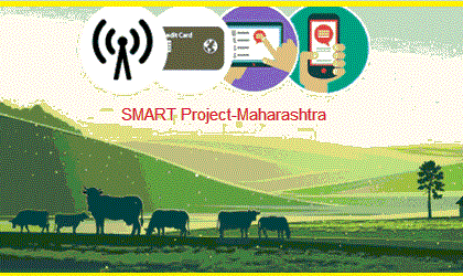 SMART project get approval of State government | राज्यात स्मार्ट प्रकल्पाला तत्त्वत: मान्यता!