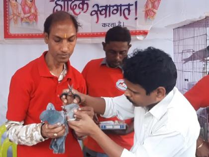 800 birds injured by sharp manja on Kite festival the occasion of Makar Sankranti | धारदार मांजामुळे ८०० पक्षी जखमी; पतंगप्रेमींचा उत्साह पक्षांच्या जीवावर बेतला