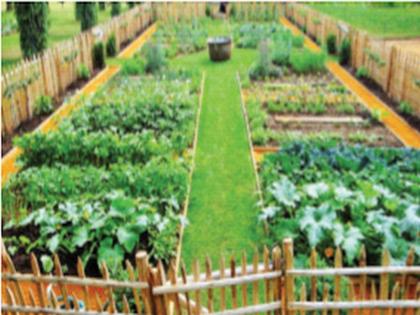 Bloom the garden; Get a reward; Competition will be held for schools | परसबाग फुलवा; बक्षीस मिळवा, शाळांसाठी होणार स्पर्धा