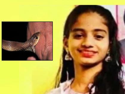 Young woman dies of snake bite in Ghonsare Chiplun | रत्नागिरी: गाढ झोप अखेरची ठरली, सर्पदंशाने तरुणीचा मृत्यू