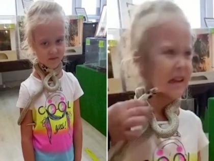 Girl bitten by snake on her face at petting zoo in Russia | धक्कादायक! गळ्यात साप गुंडाळून खेळत होती ५ वर्षीय मुलगी, दंश मारल्याने झाला मृत्यू