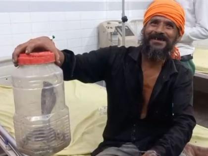 snake bite man shows live snake to doctors in lakhimpur viral video | Video - बापरे! जो साप चावला त्यालाच घेऊन 'तो' रुग्णालयात गेला अन् झालं असं काही...