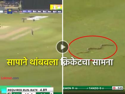 Sri Lanka vs Bangladesh 1st ODI Video viral snake entered colombo cricket ground while live match watch | Video: साप... साप... Live सामन्यात घडला विचित्र प्रकार, भरमैदानात उडाला गोंधळ अन् मग...