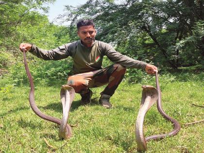 The skill of the snake friends saved the life of a pair of snakes trapped in a well! | सर्पमित्रांचे कौशल्यपणाला, विहिरीत अडकलेल्या नागाच्या जोडीला दिलं जीवदान! The skill of the snake friends saved the life of a pair of snakes trapped in a well! | सर्पमित्रांचे कौशल्यपणाला, विहिरीत अडकलेल्या नागाच्या जोडीला दिलं जीवदान!