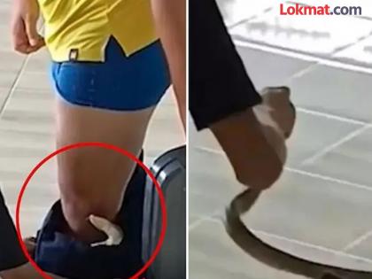 VIDEO : Cobra coming out of pants in Thailand school | VIDEO : शिक्षकाच्या पॅंटमधून बाहेर आला लांबलचक साप, बघून विद्यार्थ्यांचा उडाला थरकाप!