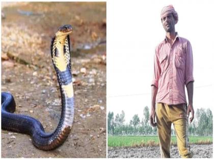 Snake bite 7 time sting nagin naag kill snake revenge of death fear man rampur uttar pradesh | नागिणीचा बदला! नागाला मारणाऱ्या व्यक्तीला ७ वेळा केला दंश, सिनेमासारखीच आहे घटना