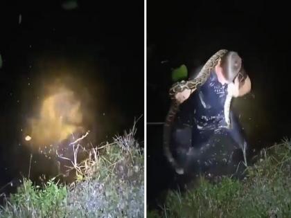 Dangerous python entering in river then man jumped in to it see what happened next | VIDEO : अंधारात नदीत घुसत होता खतरनाक अजगर, पकडण्यासाठी मागोमाग एकाने मारली उडी आणि....