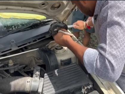 There was a snake in the running car, as soon as the driver noticed...; Incident in Panvel | धावत्या गाडीत होता साप, चालकाचे लक्ष जाताच....; पनवेलमधील घटना 