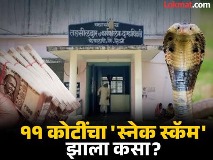 Ramesh died 29 times, Draupadibai 28 times! 11 crore 'snake scam', hears the inside story! | रमेशचा २९ वेळा, तर द्रौपदीबाईंचा २८ वेळा मृत्यू! ११ कोटींचा 'स्नेक स्कॅम', इनसाइड स्टोरी ऐकून चक्रवाल! Ramesh died 29 times, Draupadibai 28 times! 11 crore 'snake scam', hears the inside story! | रमेशचा २९ वेळा, तर द्रौपदीबाईंचा २८ वेळा मृत्यू! ११ कोटींचा 'स्नेक स्कॅम', इनसाइड स्टोरी ऐकून चक्रवाल!
