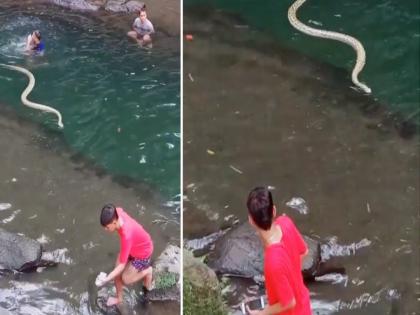 People were taking a fun bath on the river suddenly big snake attack | नदीत किनारी पाण्यात मस्त एन्जॉय करत होते लोक, अचानक आला एक मोठा साप आणि....