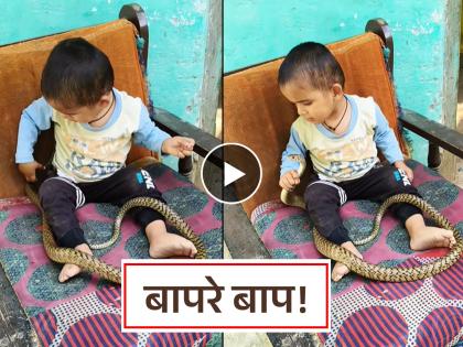 child sitting with snake on sofa viral video raise concern among internet users video viral | रीलचा नाद लय बेक्कार! व्ह्यूजसाठी मुलाच्या अंगावर सोडला साप; थरकाप उडवणारा Video child sitting with snake on sofa viral video raise concern among internet users video viral | रीलचा नाद लय बेक्कार! व्ह्यूजसाठी मुलाच्या अंगावर सोडला साप; थरकाप उडवणारा Video