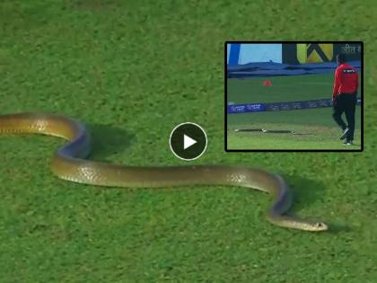 snake entered in live cricket match field during lpl 2023 ground galle titans vs dambulla aura | Video: लाइव्ह क्रिकेट सामन्याच्या वेळी मैदानात घुसला 10 फूट लांब साप; खेळाडूंची तारांबळ