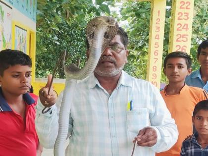 Dist. W. The snake went to school, the children said, oh my god | जि. प. शाळेत निघाला साप, मुले म्हणाली, अरे बाप रे बाप..!