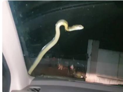 Baap re baap! Snake on the glass of the car, two hours journey holding hands .... | बाप रे बाप! गाडीच्या काचेवर साप, दोन तास जीव मुठीत धरून केला प्रवास....