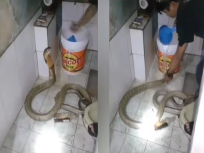 Shocking..! You will not believe your eyes after watching the bath given to the cobra snake | बापरे..! कोब्रा सापाला घातली आंघोळ, Video पाहून तुमचाही डोळ्यांवर विश्वास बसणार नाही