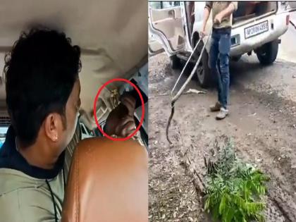 6 feet long snake spotted in running car; 7 people including women and children were shaken | धावत्या कारमध्ये दिसला 6 फूट लांब साप; महिला अन् लहान मुलांसह 7 जणांचा उडाला थरकाप...