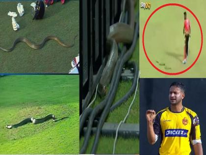 Video: Snake terror in Sri Lanka before Asia Cup; Sri Lankan player saved from snake on field | Video: आशिया चषकापूर्वी श्रीलंकेत सापांची दहशत; थोडक्यात वाचला श्रीलंकन खेळाडू...