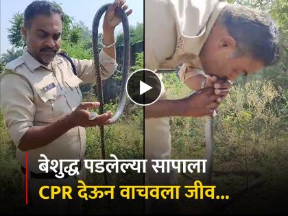 Madhya Pradesh Police Saves Snake Life Giving him CPRm Watch Video | किटकनाशक प्यायल्याने साप बेशुद्ध पडला; पोलिसाने CPR देऊन वाचवला जीव, पाहा video...