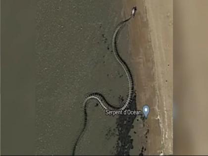 The world's largest snake skeleton appeared on Google Maps, big information came to light | Google Maps वर दिसला जगातील सर्वात मोठ्या सापाचा सांगाडा, समोर आली मोठी माहिती...