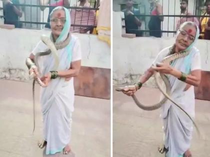 Snake Video: Grandma caught 8-foot long snake watch the video | आजीबाई जोमात, नागोबा कोमात; 8 फूट लांब सापाला अलगद पकडले, पाहा Video