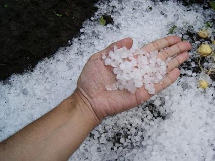 weather forecast alert for Vidarbha with north central Maharashtra | उत्तर मध्य महाराष्ट्रासह विदर्भात गारांचा पाऊस पडणार, हवामान विभागाचा इशारा