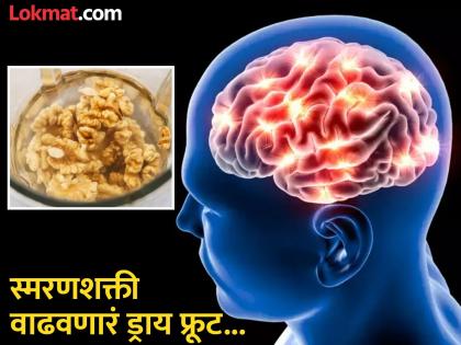 Eat soaked walnuts in morning to get sharp memory and brain power | स्मरणशक्ती, मेंदुची क्षमता वाढवण्यासाठी भिजवून खा 'हे' ड्राय फ्रूट, फायदे वाचून व्हाल अवाक्...