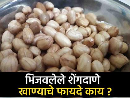 health tips for benefits of eating peanuts in soaked water in the morning know about what expert says | सकाळच्या नाश्त्यामध्ये भिजवलेले शेंगदाणे ठरतील बेस्ट! पोषणतज्ज्ञांनी सांगितले फायदे 