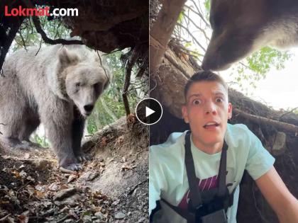 Social media influencer came in front of the bear, the video went viral, see what happened in the forest | Video : जंगलात फिरताना चुकून अस्वलाच्या घरात गेला अन्...; पहा इन्फ्लूअन्सर काय घडलं?