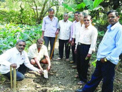 Eating soil quality, researchers monitor | मातीचा दर्जा खालावतोय, संशोधकांचे निरीक्षण