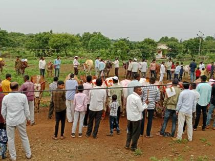 Pola festival is in full swing in Washim district | सर्जा-राजाच्या जोडीने वेधले लक्ष; वाशिम जिल्ह्यात पोळा सण उत्साहात