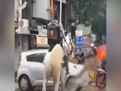 Food delivery by horse in heavy rain; Video goes viral on social media | भर पावसात चक्क घोड्यावरून फूड डिलिव्हरी; सोशल मीडियात व्हिडीओ व्हायरल